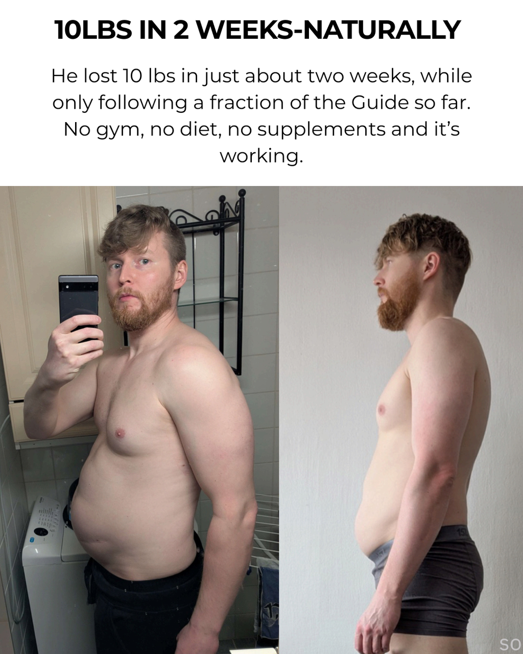 THE LIFE GUIDE [DIGITAL BOOK]